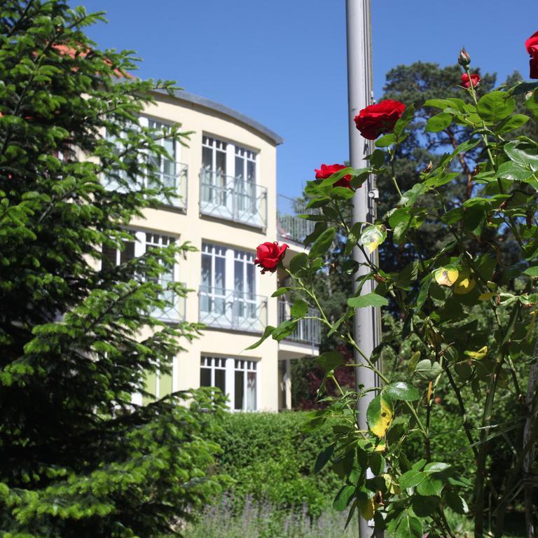 Ferienwohnung Seestern Bad Saarow Esterno foto